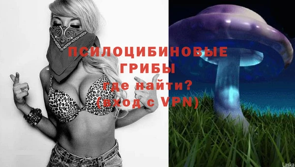 а пвп мука Карталы