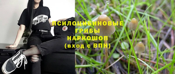 mix Касимов