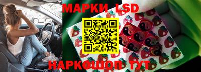 гидропоника Апшеронск