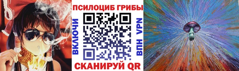 Галлюциногенные грибы Psilocybe купить наркотики сайты Батайск